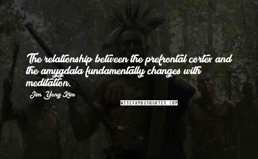 Jim Yong Kim Quotes: The relationship between the prefrontal cortex and the amygdala fundamentally changes with meditation.