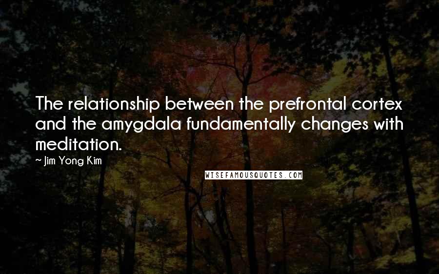 Jim Yong Kim Quotes: The relationship between the prefrontal cortex and the amygdala fundamentally changes with meditation.