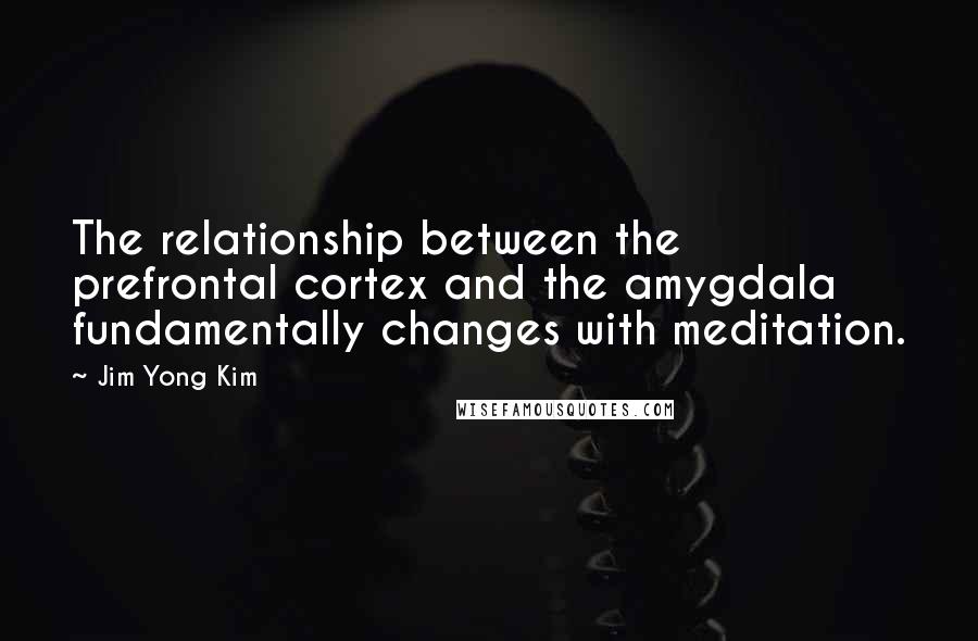 Jim Yong Kim Quotes: The relationship between the prefrontal cortex and the amygdala fundamentally changes with meditation.