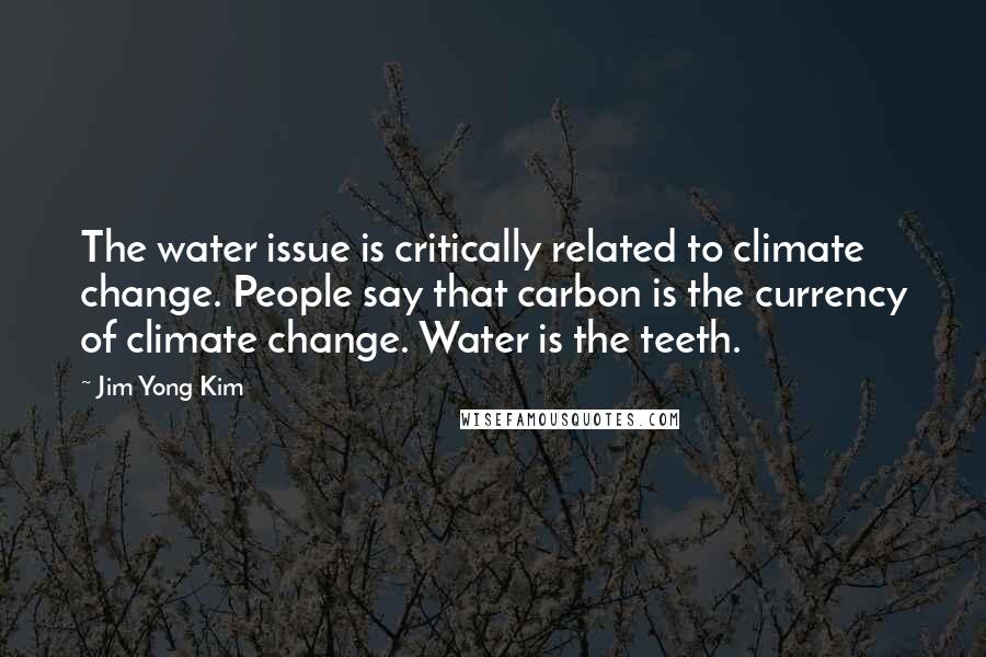 Jim Yong Kim Quotes: The water issue is critically related to climate change. People say that carbon is the currency of climate change. Water is the teeth.