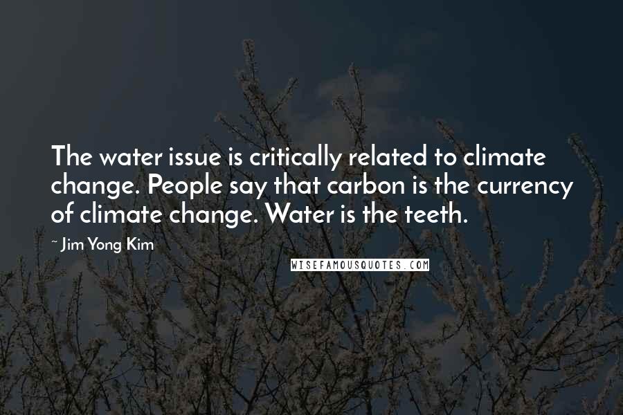 Jim Yong Kim Quotes: The water issue is critically related to climate change. People say that carbon is the currency of climate change. Water is the teeth.