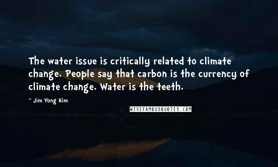 Jim Yong Kim Quotes: The water issue is critically related to climate change. People say that carbon is the currency of climate change. Water is the teeth.