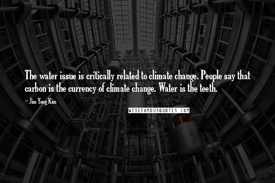 Jim Yong Kim Quotes: The water issue is critically related to climate change. People say that carbon is the currency of climate change. Water is the teeth.