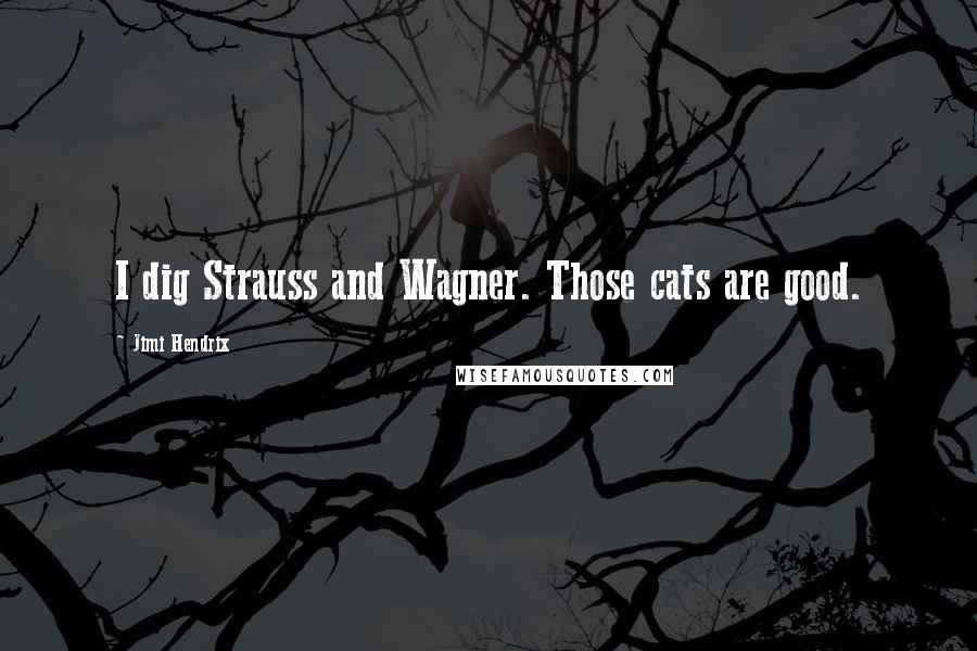 Jimi Hendrix Quotes: I dig Strauss and Wagner. Those cats are good.