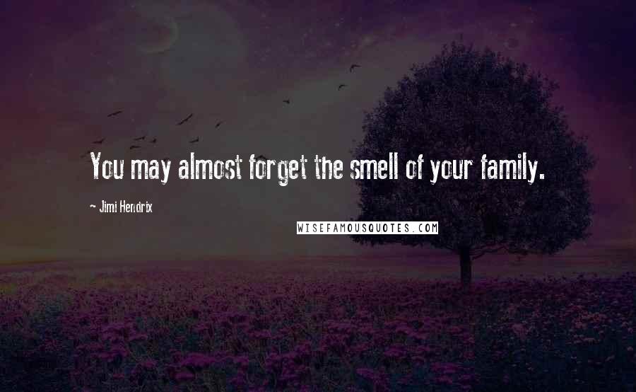 Jimi Hendrix Quotes: You may almost forget the smell of your family.