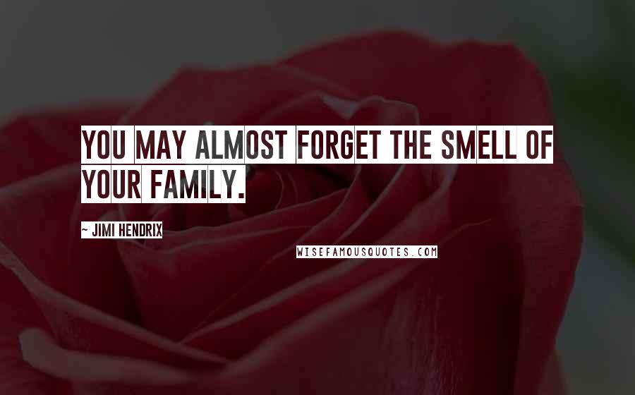 Jimi Hendrix Quotes: You may almost forget the smell of your family.