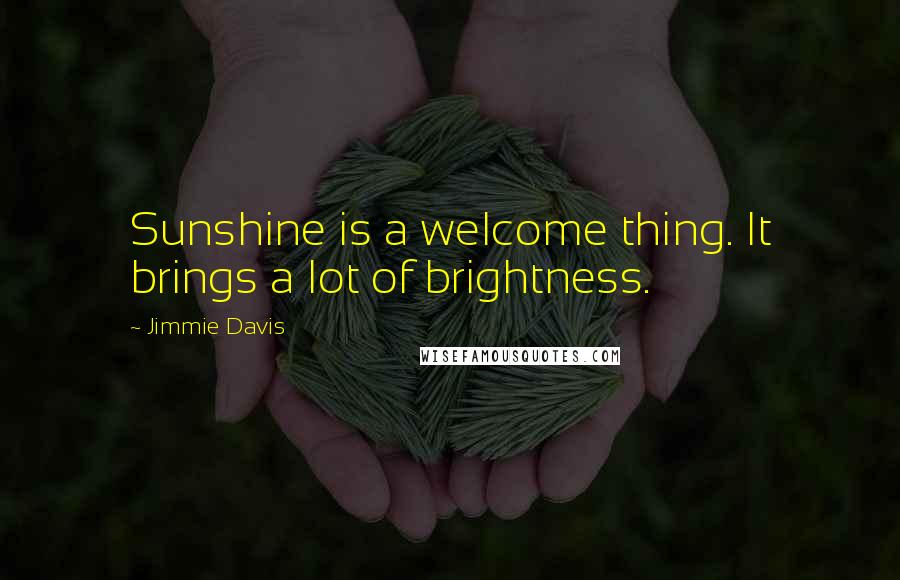 Jimmie Davis Quotes: Sunshine is a welcome thing. It brings a lot of brightness.