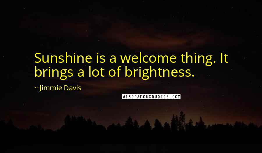 Jimmie Davis Quotes: Sunshine is a welcome thing. It brings a lot of brightness.