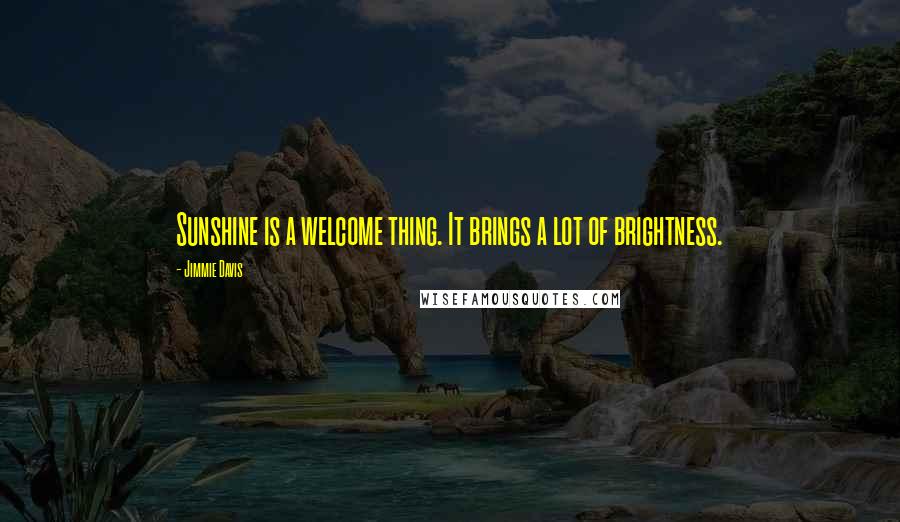 Jimmie Davis Quotes: Sunshine is a welcome thing. It brings a lot of brightness.