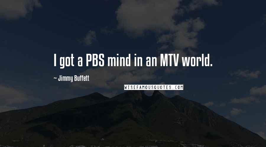 Jimmy Buffett Quotes: I got a PBS mind in an MTV world.