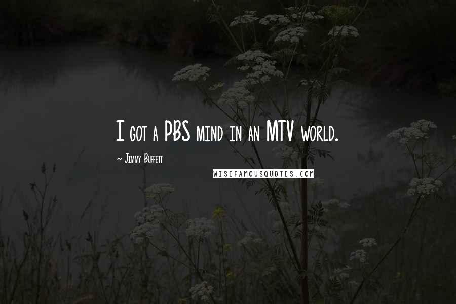 Jimmy Buffett Quotes: I got a PBS mind in an MTV world.