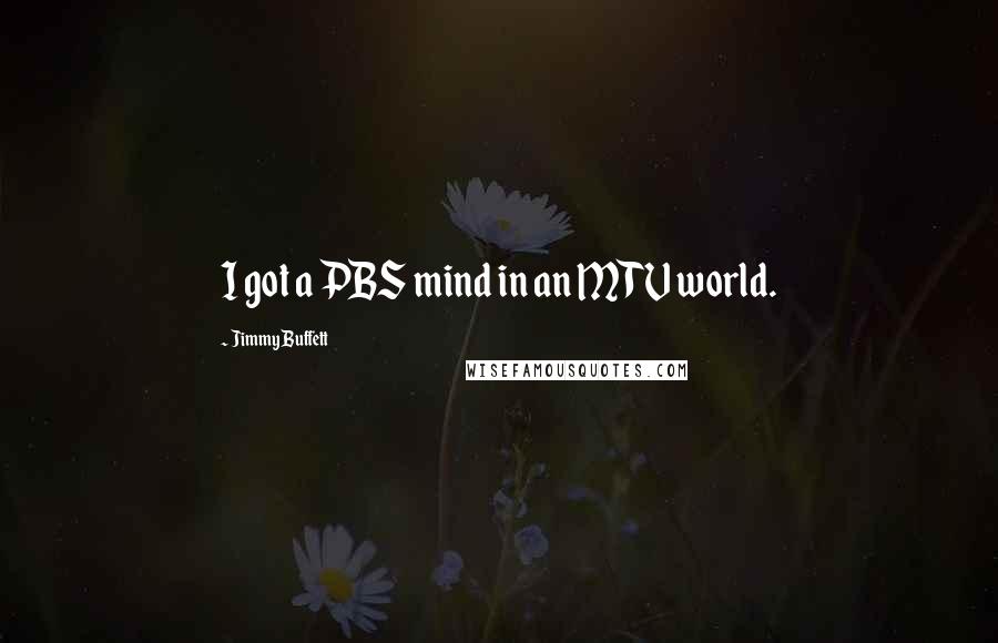 Jimmy Buffett Quotes: I got a PBS mind in an MTV world.