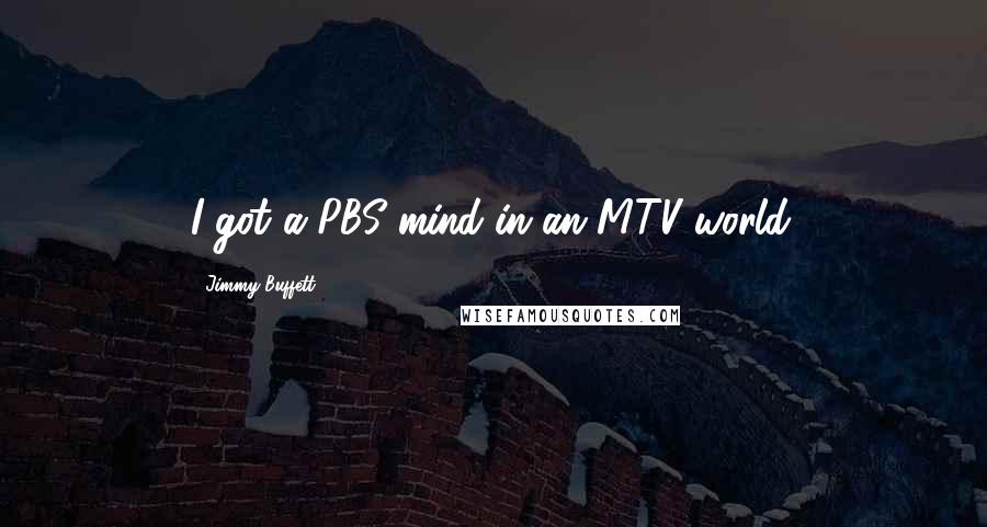 Jimmy Buffett Quotes: I got a PBS mind in an MTV world.