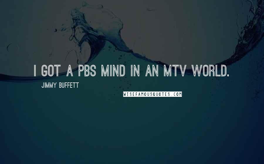 Jimmy Buffett Quotes: I got a PBS mind in an MTV world.