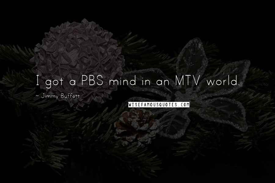 Jimmy Buffett Quotes: I got a PBS mind in an MTV world.