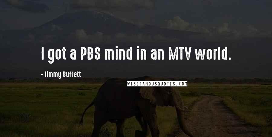 Jimmy Buffett Quotes: I got a PBS mind in an MTV world.