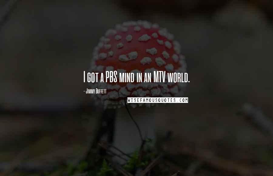 Jimmy Buffett Quotes: I got a PBS mind in an MTV world.