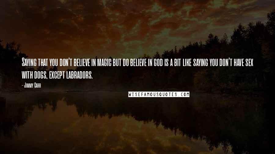 Jimmy Carr Quotes: Saying that you don't believe in magic but do believe in god is a bit like saying you don't have sex with dogs, except labradors.