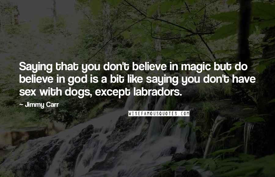 Jimmy Carr Quotes: Saying that you don't believe in magic but do believe in god is a bit like saying you don't have sex with dogs, except labradors.