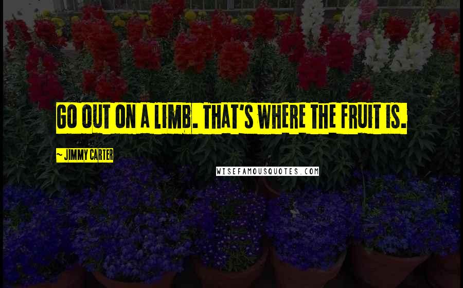 Jimmy Carter Quotes: Go out on a limb. That's where the fruit is.