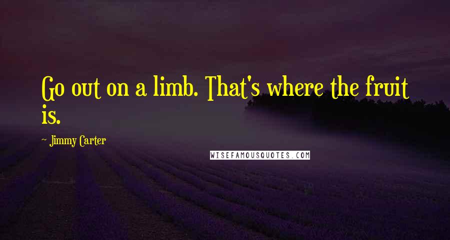 Jimmy Carter Quotes: Go out on a limb. That's where the fruit is.