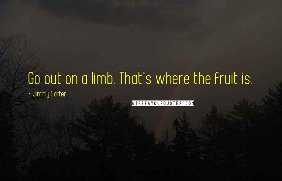 Jimmy Carter Quotes: Go out on a limb. That's where the fruit is.