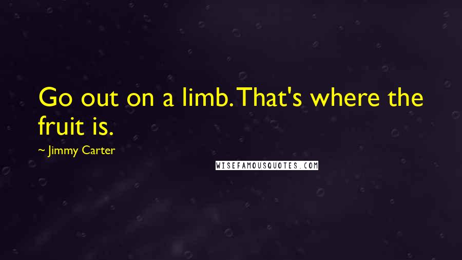 Jimmy Carter Quotes: Go out on a limb. That's where the fruit is.