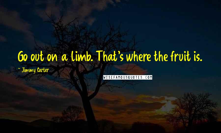 Jimmy Carter Quotes: Go out on a limb. That's where the fruit is.