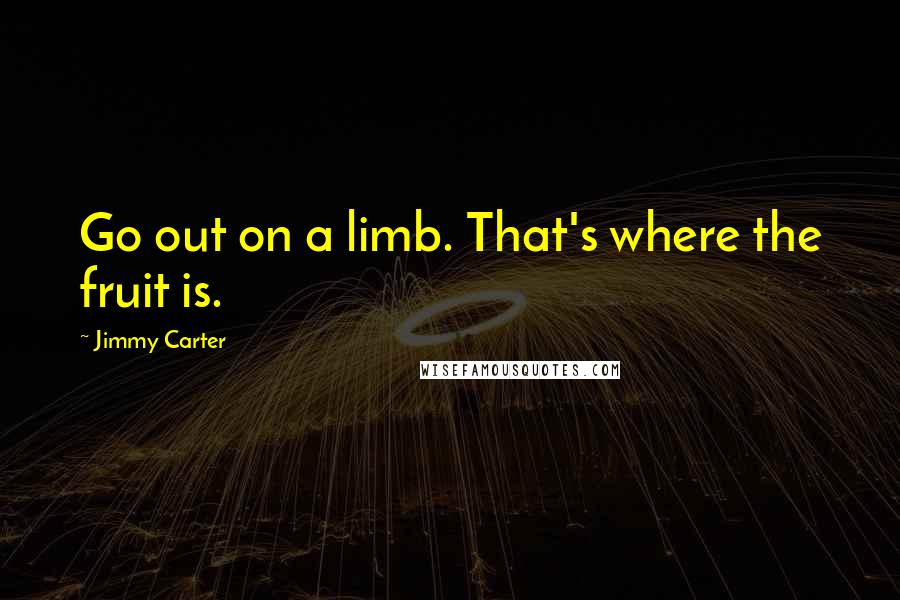 Jimmy Carter Quotes: Go out on a limb. That's where the fruit is.