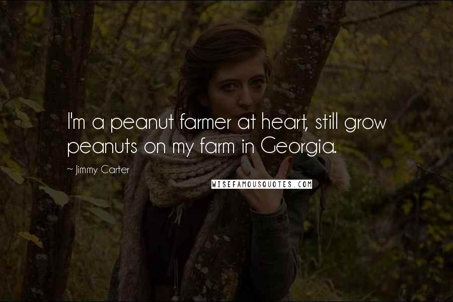 Jimmy Carter Quotes: I'm a peanut farmer at heart, still grow peanuts on my farm in Georgia.