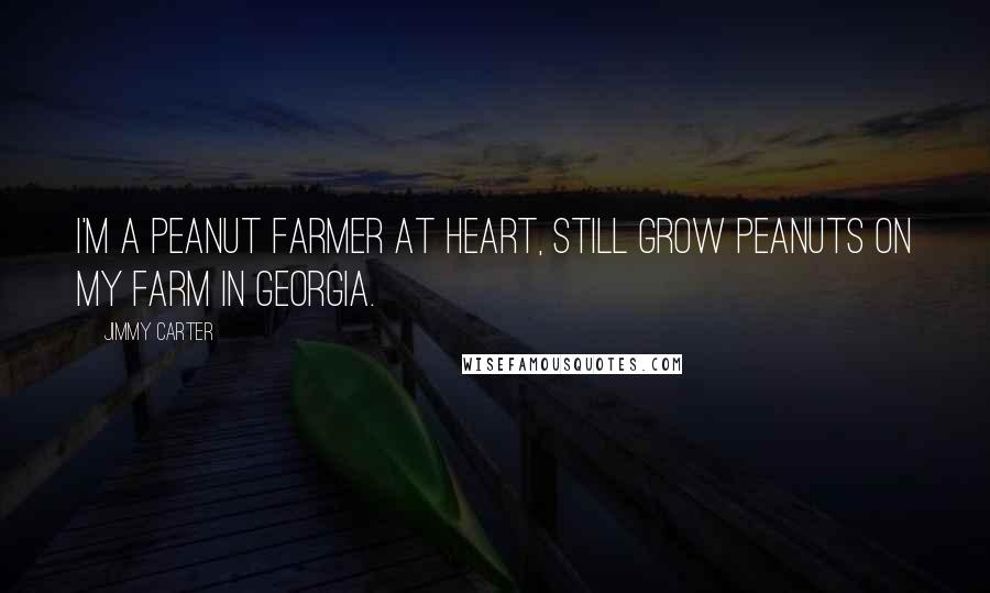 Jimmy Carter Quotes: I'm a peanut farmer at heart, still grow peanuts on my farm in Georgia.
