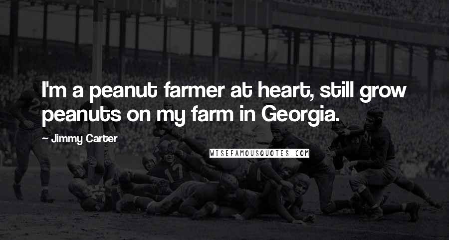 Jimmy Carter Quotes: I'm a peanut farmer at heart, still grow peanuts on my farm in Georgia.