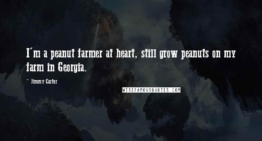 Jimmy Carter Quotes: I'm a peanut farmer at heart, still grow peanuts on my farm in Georgia.