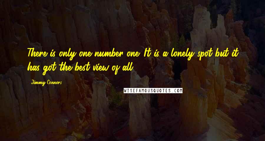 Jimmy Connors Quotes: There is only one number one. It is a lonely spot but it has got the best view of all.