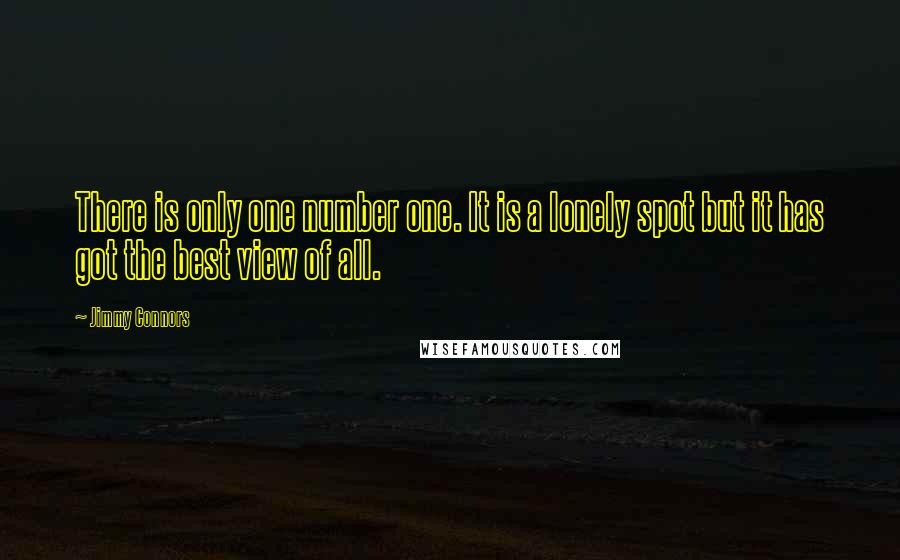 Jimmy Connors Quotes: There is only one number one. It is a lonely spot but it has got the best view of all.