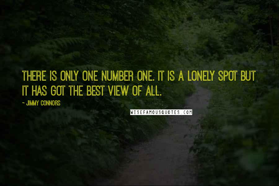 Jimmy Connors Quotes: There is only one number one. It is a lonely spot but it has got the best view of all.