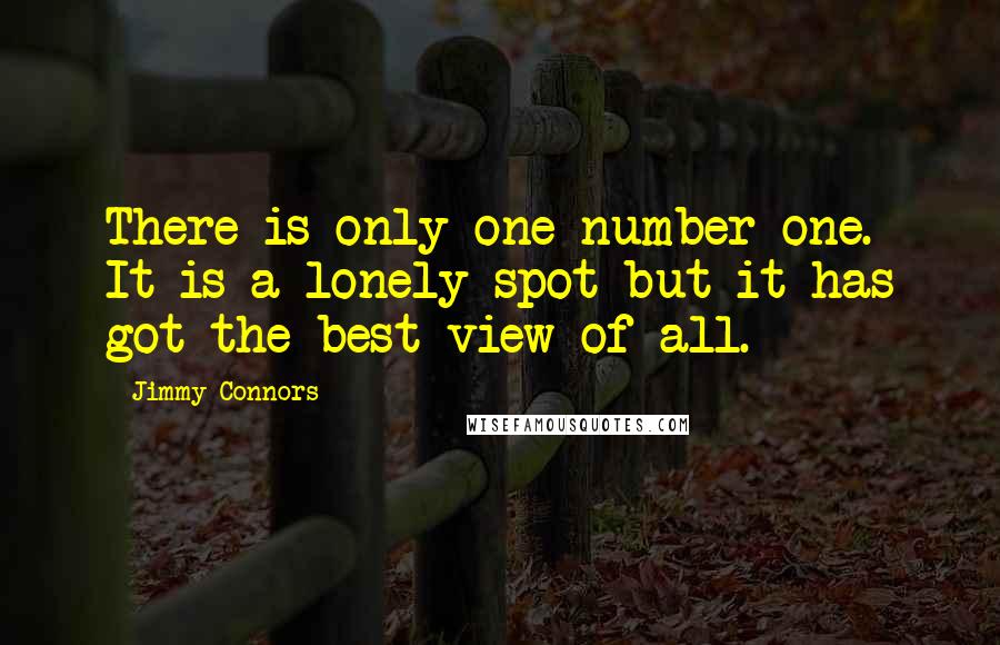 Jimmy Connors Quotes: There is only one number one. It is a lonely spot but it has got the best view of all.