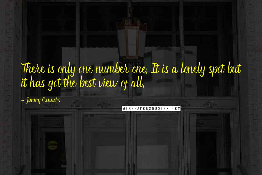 Jimmy Connors Quotes: There is only one number one. It is a lonely spot but it has got the best view of all.