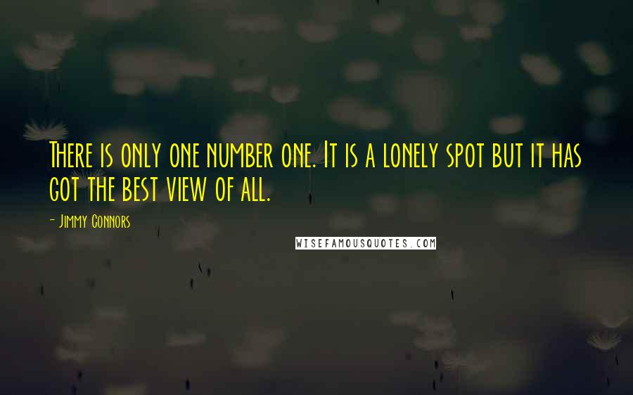 Jimmy Connors Quotes: There is only one number one. It is a lonely spot but it has got the best view of all.