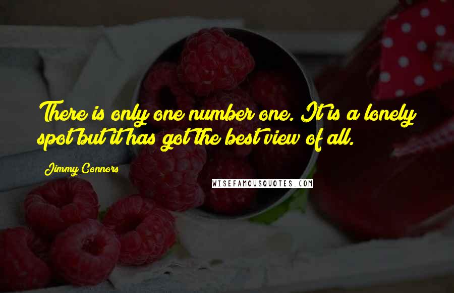 Jimmy Connors Quotes: There is only one number one. It is a lonely spot but it has got the best view of all.