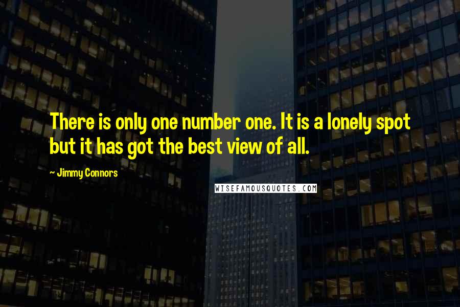 Jimmy Connors Quotes: There is only one number one. It is a lonely spot but it has got the best view of all.