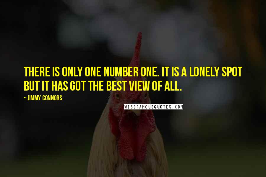 Jimmy Connors Quotes: There is only one number one. It is a lonely spot but it has got the best view of all.