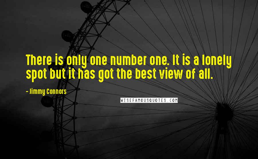 Jimmy Connors Quotes: There is only one number one. It is a lonely spot but it has got the best view of all.