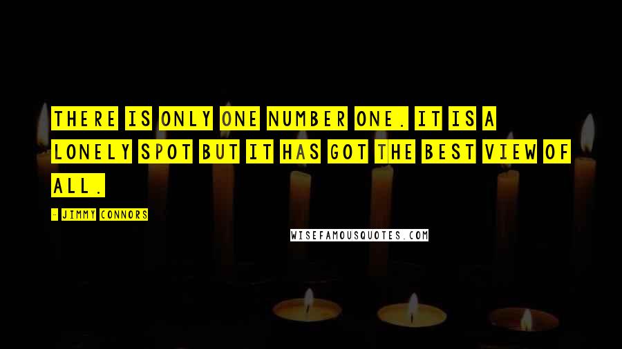 Jimmy Connors Quotes: There is only one number one. It is a lonely spot but it has got the best view of all.
