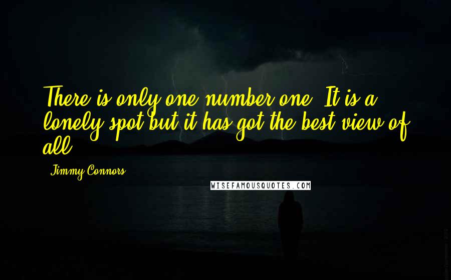 Jimmy Connors Quotes: There is only one number one. It is a lonely spot but it has got the best view of all.