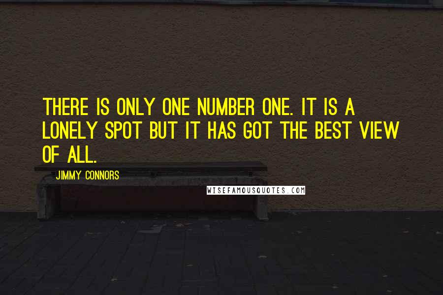 Jimmy Connors Quotes: There is only one number one. It is a lonely spot but it has got the best view of all.