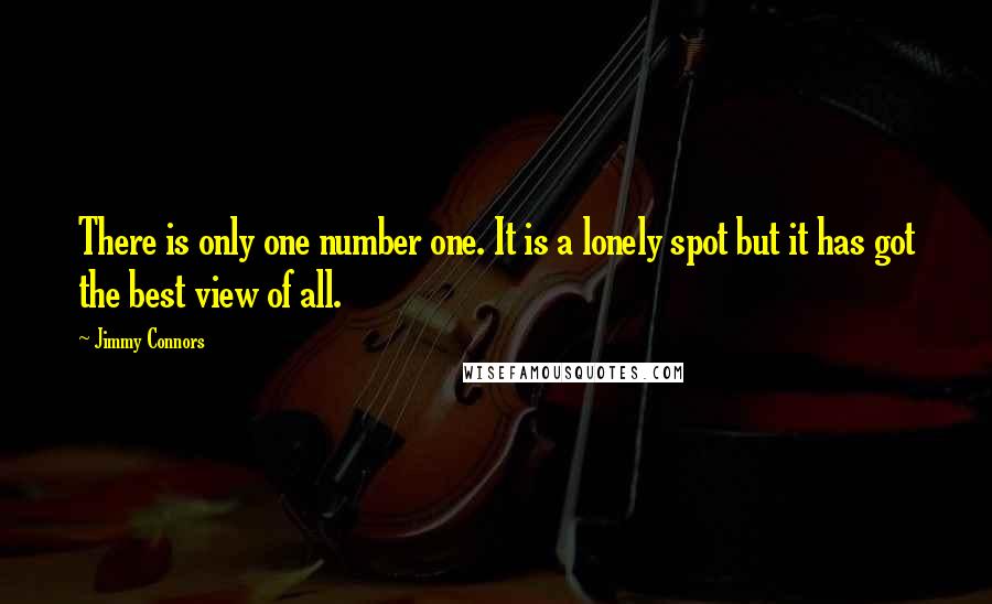 Jimmy Connors Quotes: There is only one number one. It is a lonely spot but it has got the best view of all.