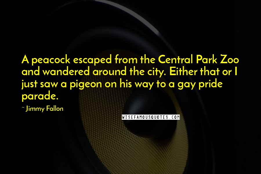 Jimmy Fallon Quotes: A peacock escaped from the Central Park Zoo and wandered around the city. Either that or I just saw a pigeon on his way to a gay pride parade.