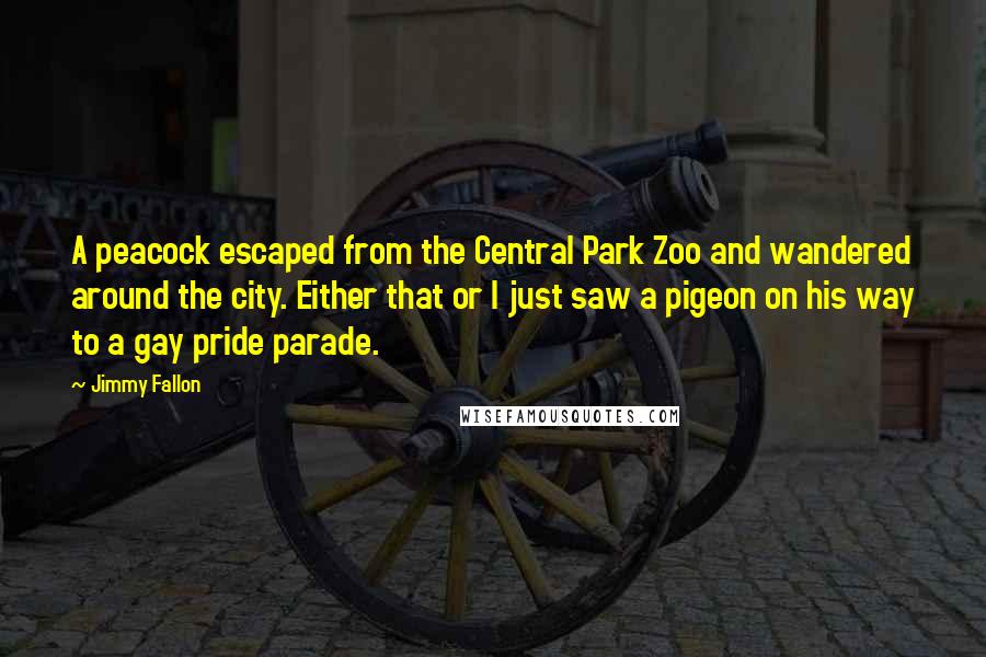 Jimmy Fallon Quotes: A peacock escaped from the Central Park Zoo and wandered around the city. Either that or I just saw a pigeon on his way to a gay pride parade.