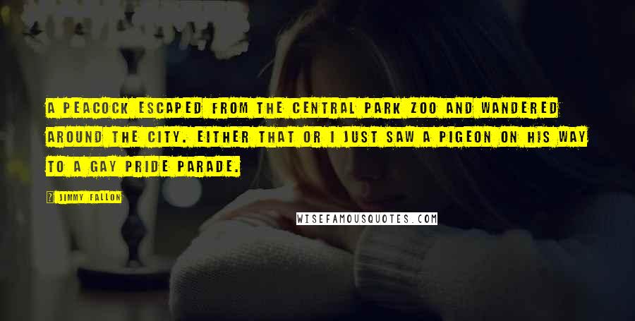 Jimmy Fallon Quotes: A peacock escaped from the Central Park Zoo and wandered around the city. Either that or I just saw a pigeon on his way to a gay pride parade.
